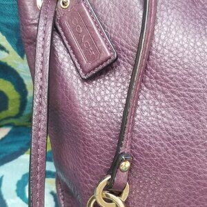 Coach Crossbody Tote